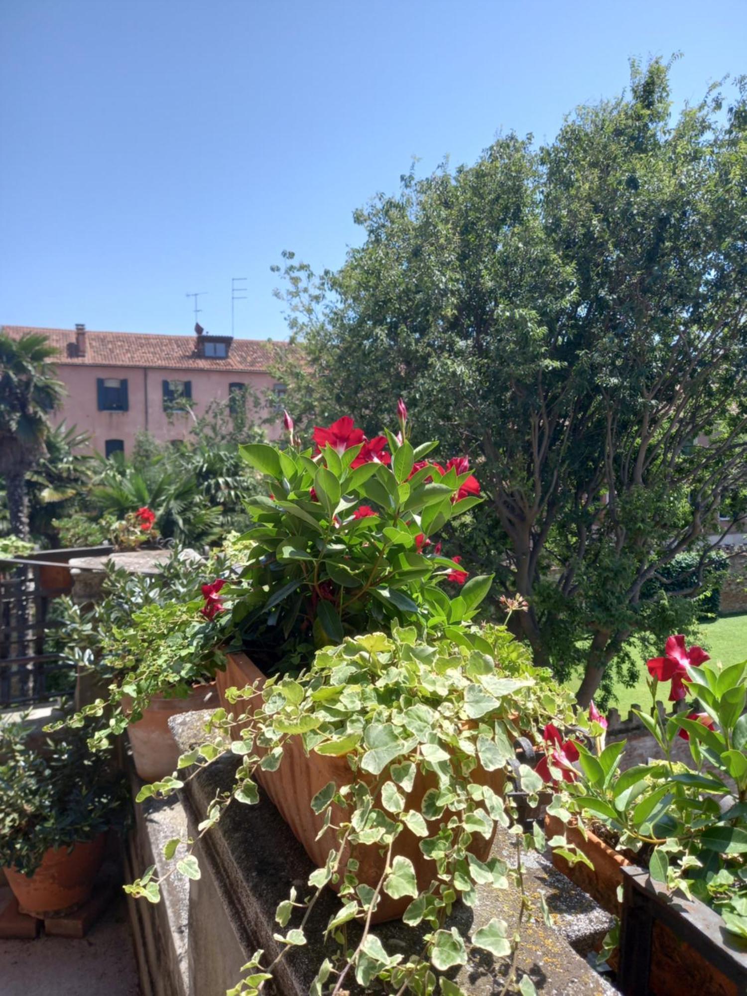 Giudecca Palanca 664 Apartment Venedig